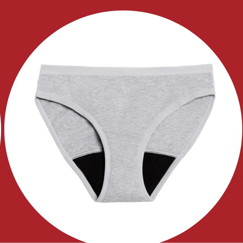 Period Panties Grey 2 pk - size 3x or incontinence panty NEW